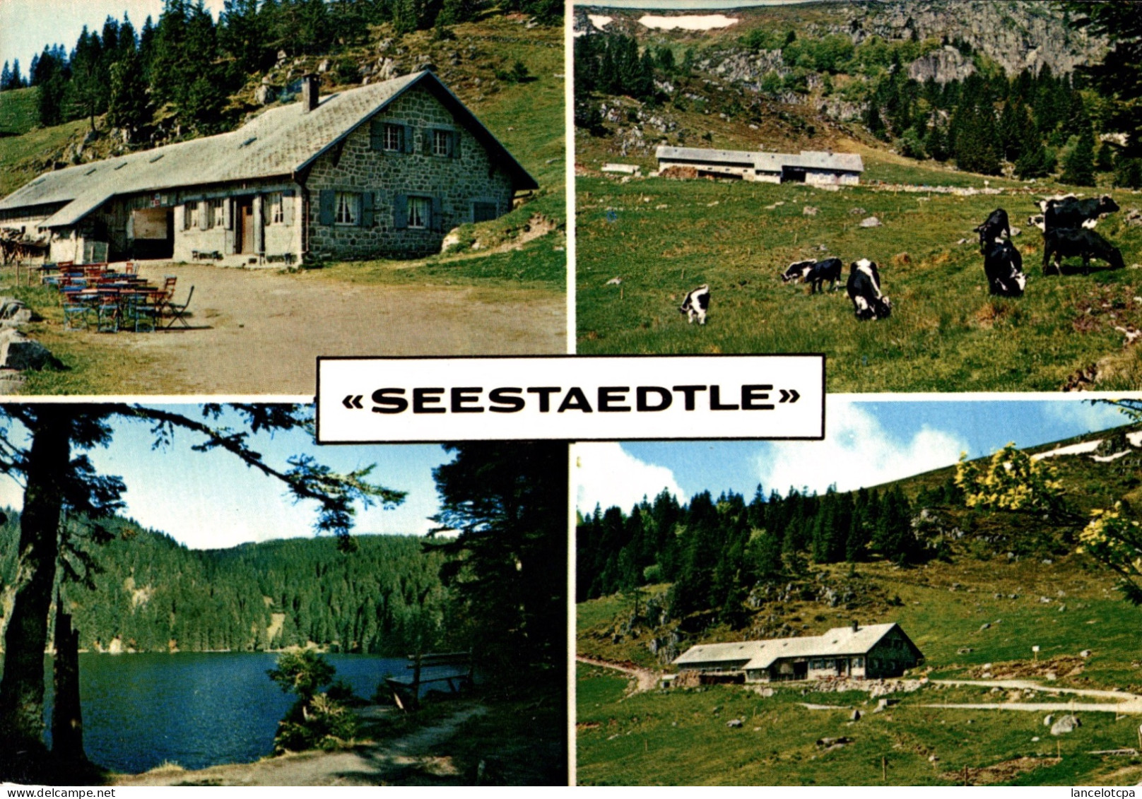 68 - SOULTZEREN / AUBERGE D'ETE SEESTAEDTLE - Soultz