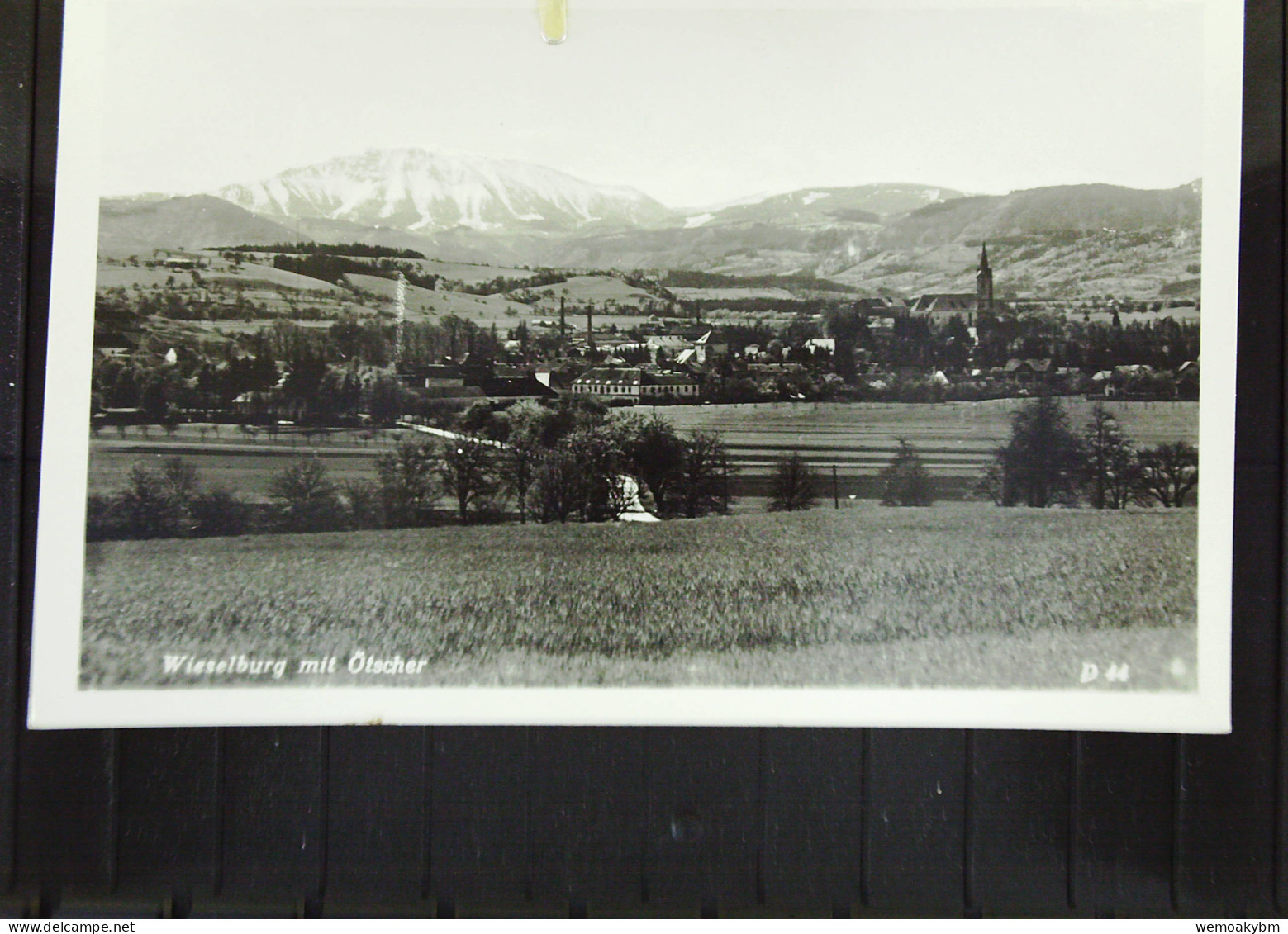 Österreich: Ansichtskarte Von Wieselburg Mit Oetscher Um 1935 - Lunz Am See