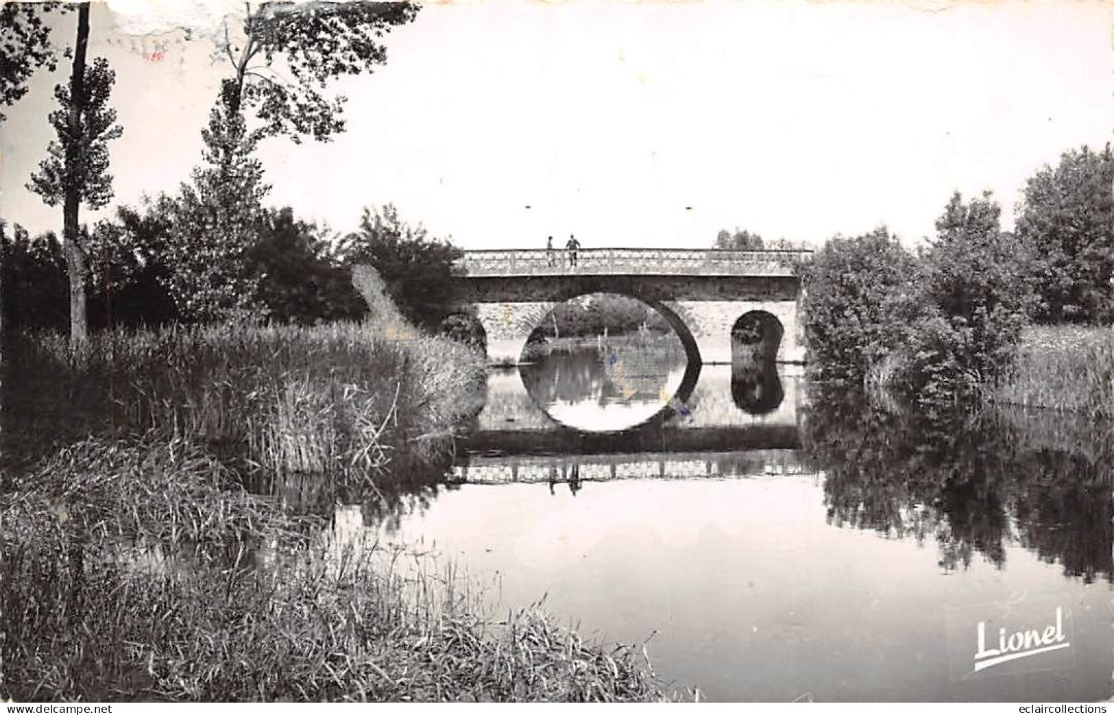 Andard           49      Pont Sur La Rivière    - 1956 -   (voir Scan) - Sonstige & Ohne Zuordnung