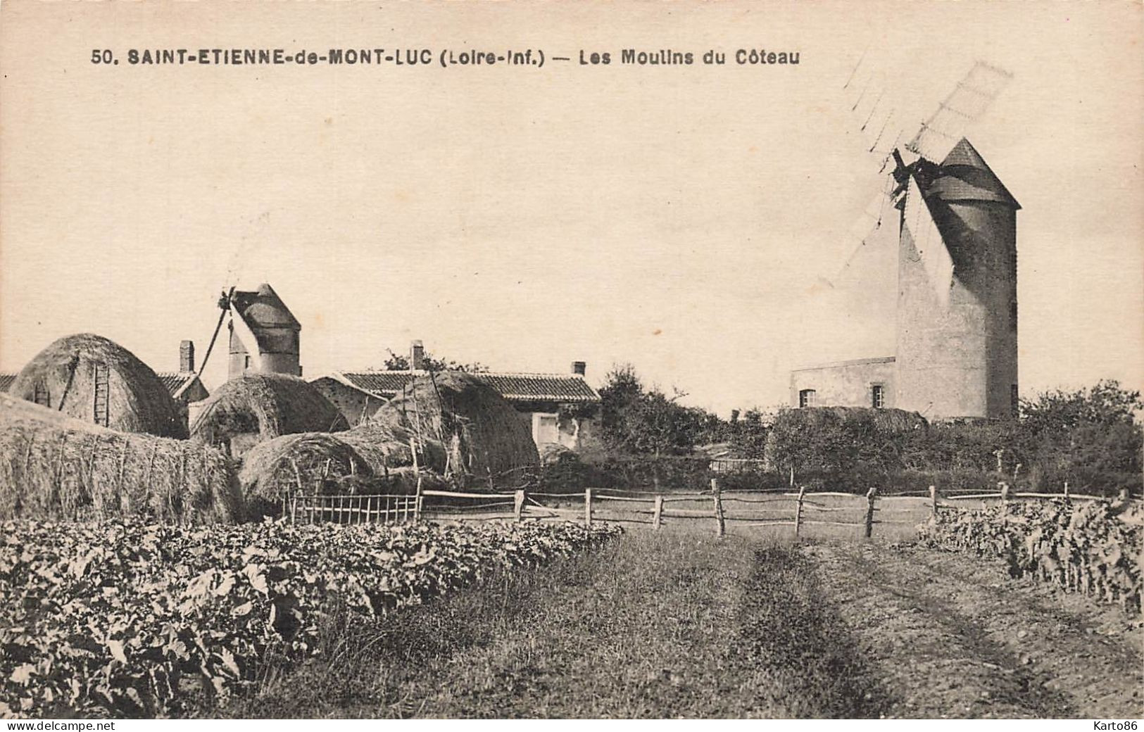 St étienne De Montluc * Les Moulins Du Coteau * Moulin à Vent Molen * Villageois - Saint Etienne De Montluc