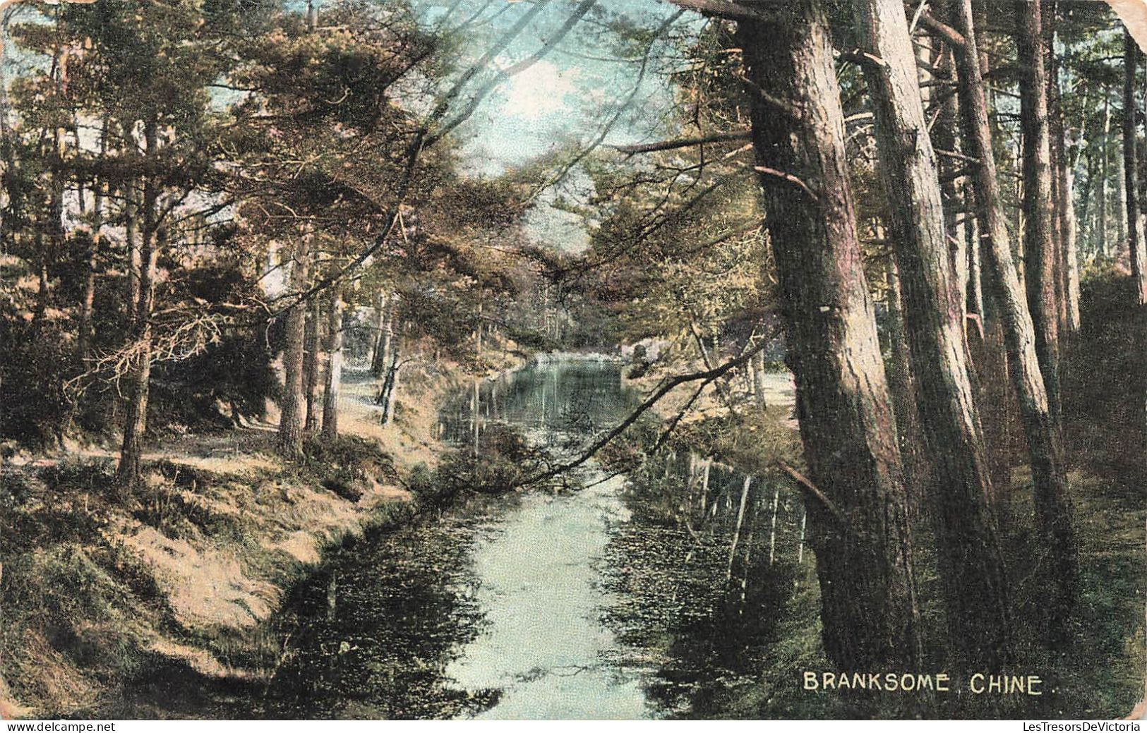 CHINE - Branksome - Rivière - Forêt - Colorisé - Carte Postale Ancienne - Cina