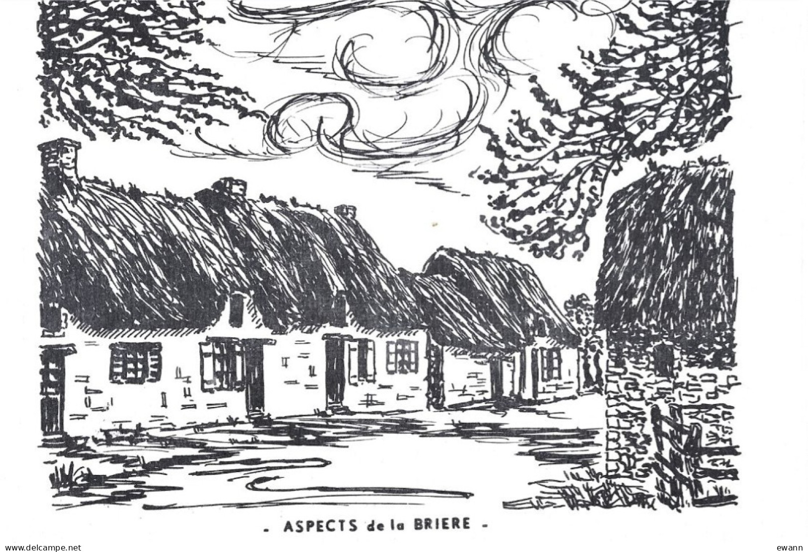 Carte Postale - Aspects De La Brière - Saint-Lyphard