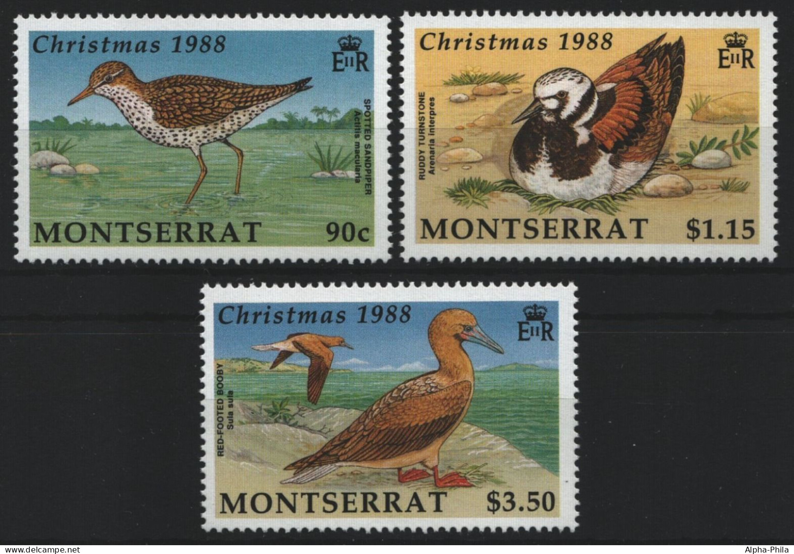 Montserrat 1988 - Mi-Nr. 731-733 ** - MNH - Vögel / Birds - Montserrat