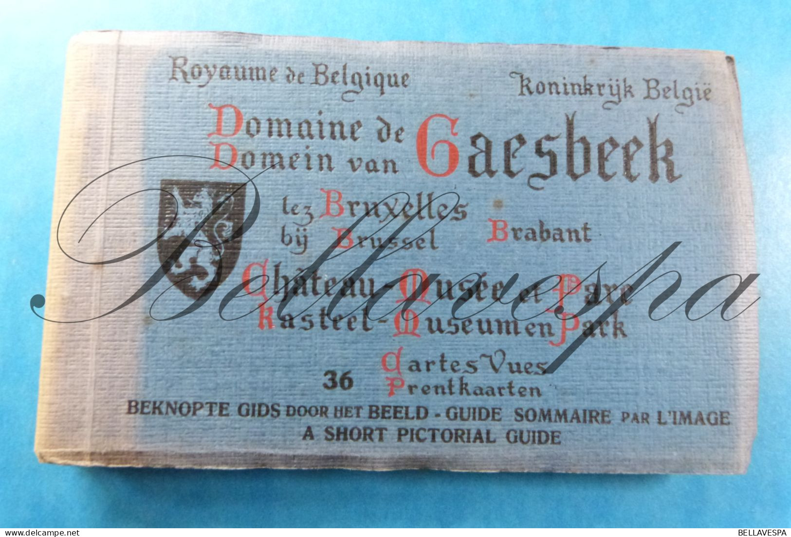 Gaesbeek Gaasbeel Domein Kasteel Chateau Carnet Boekje Lot X 36 Postkaarten /Volledig - Castles