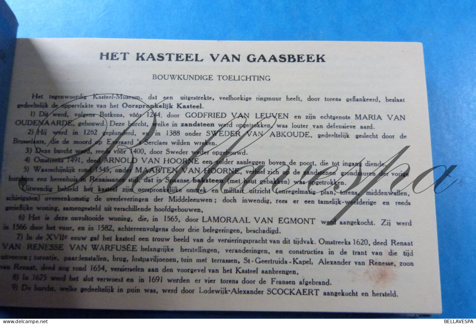 Gaesbeek Gaasbeel Domein Kasteel Chateau Carnet Boekje Lot X 36 Postkaarten /Volledig - Castles