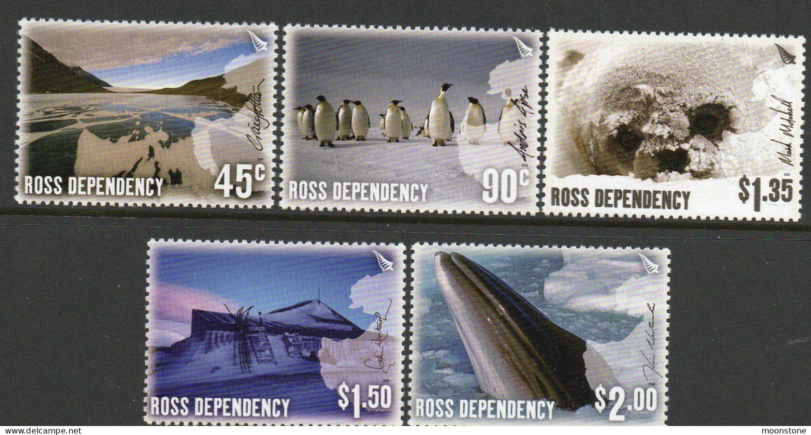 New Zealand Ross Dependency 2005 'Through The Lens' Set Of 5, MNH, SG 94/8 - Ongebruikt