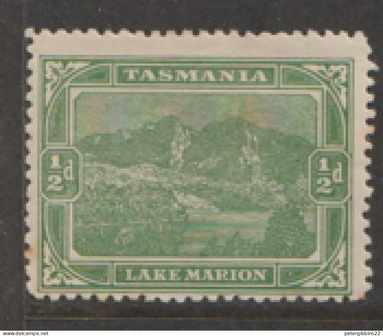 Tasmania  1899 SG  229  1/2d Mounted Mint - Gebruikt