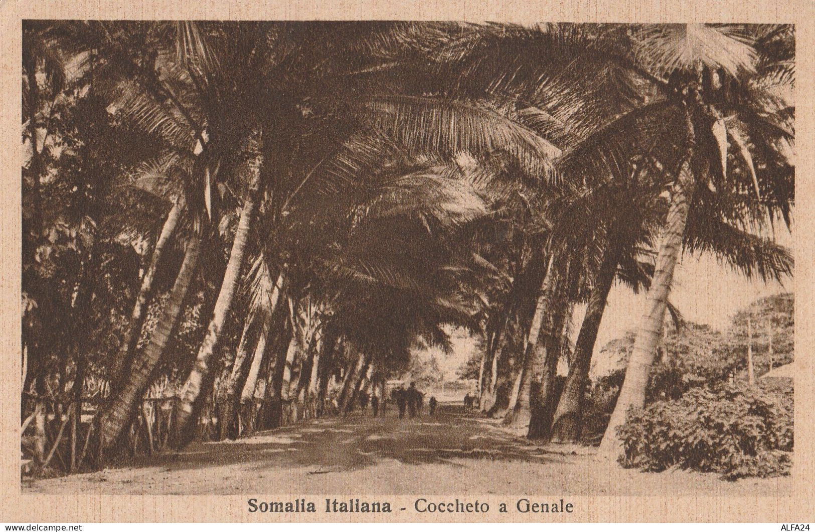 CARTOLINA SOMALIA COLONIE ITALIANE (RY8134 - Somalie