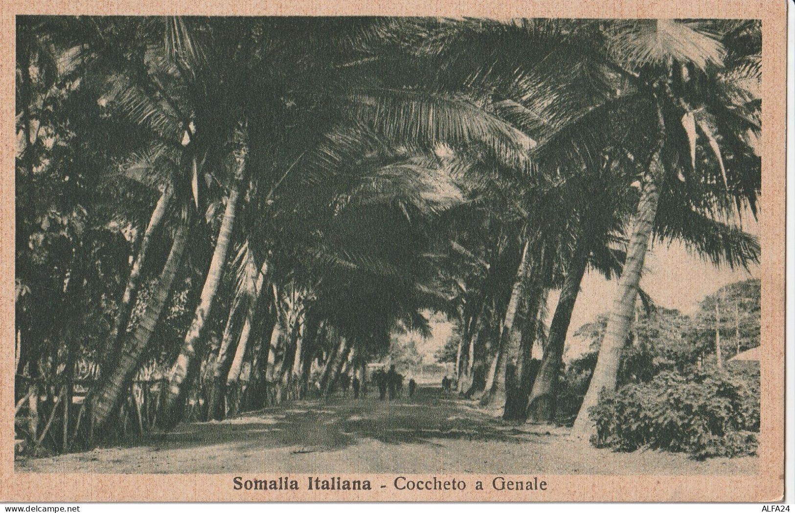 CARTOLINA SOMALIA COLONIE ITALIANE (RY8133 - Somalië