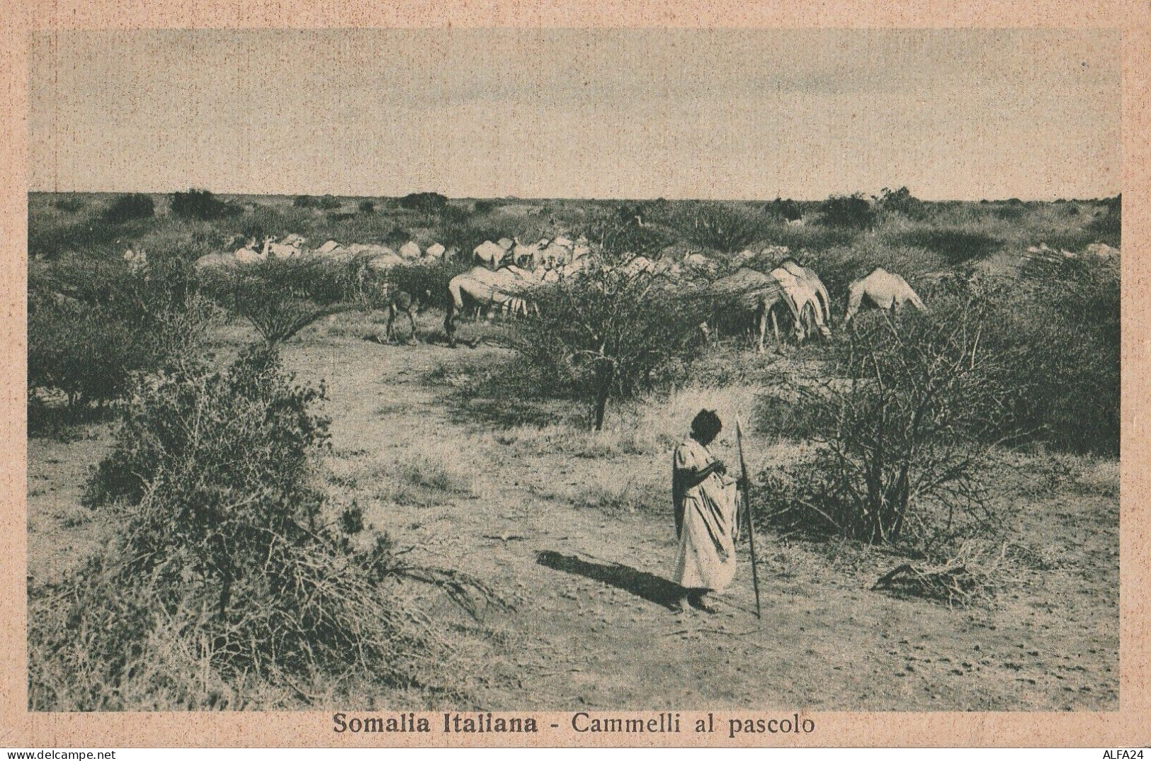 CARTOLINA SOMALIA ITALIANA (RY8045 - Somalia