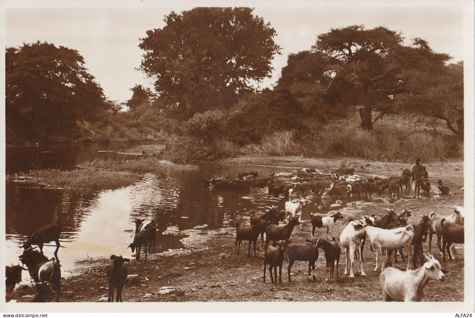 CARTOLINA ARUSSI FIUME BULBULO ETIOPIA (RY7128 - Ethiopie