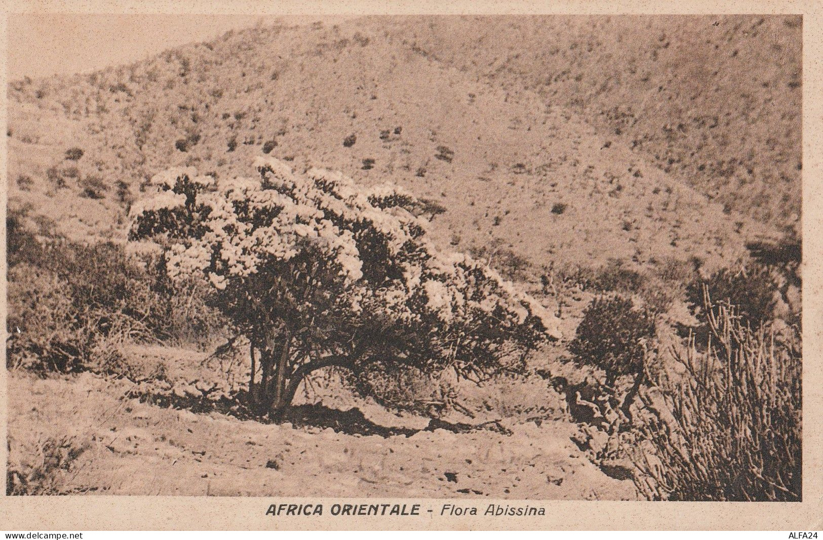 CARTOLINA AFRICA ORIENTALE ETIOPIA (RY7116 - Ethiopie