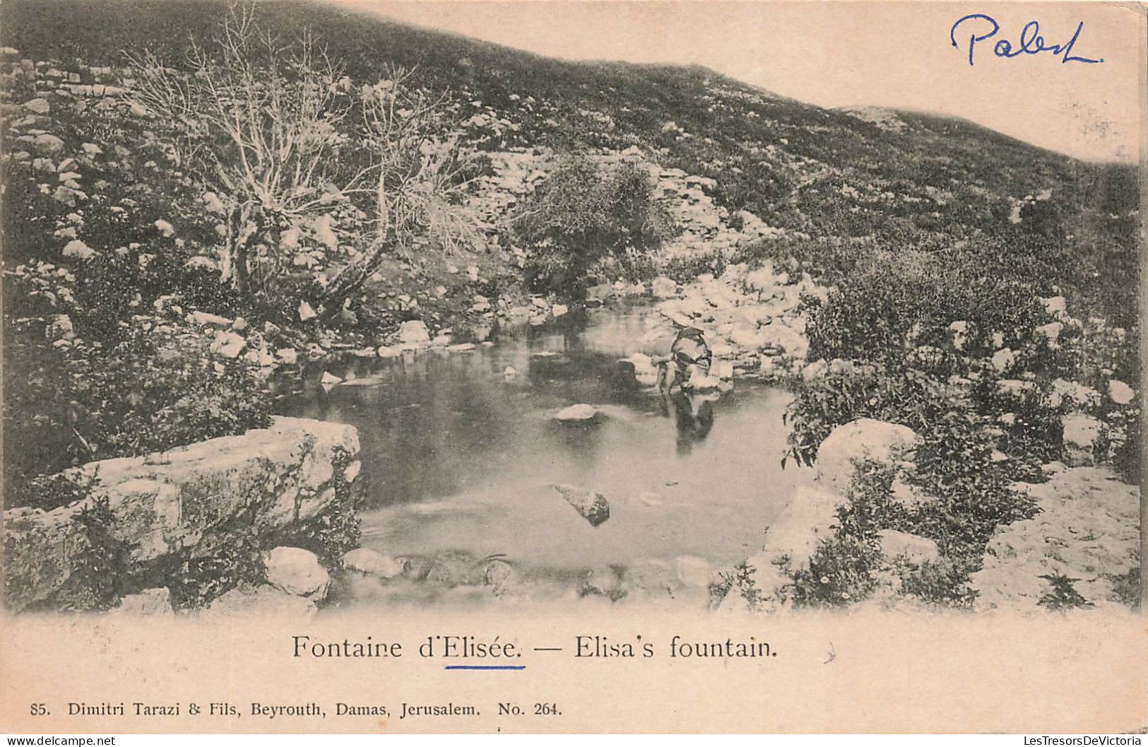 PALESTINE - Fontaine D'Élisée - Carte Postale Ancienne - Palästina