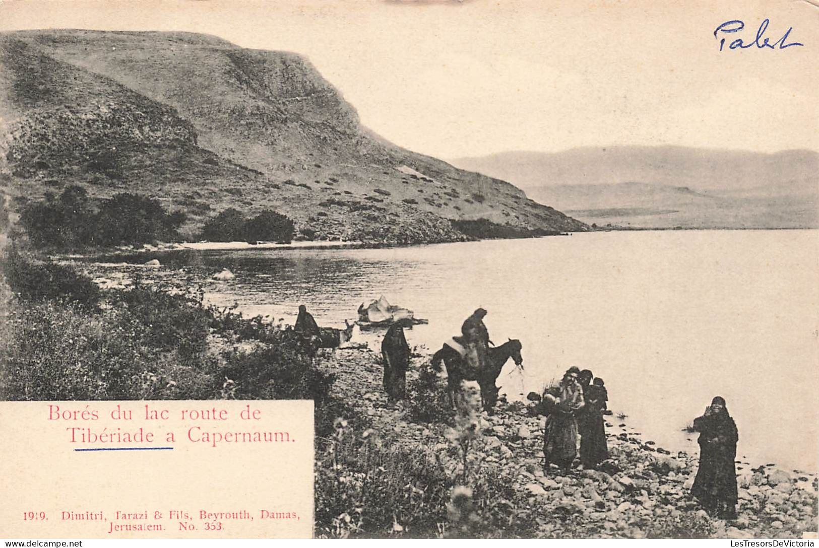 ISRAËL - Borés Du Lac Route De Tibériale à Capernaum - Carte Postale Ancienne - Israel