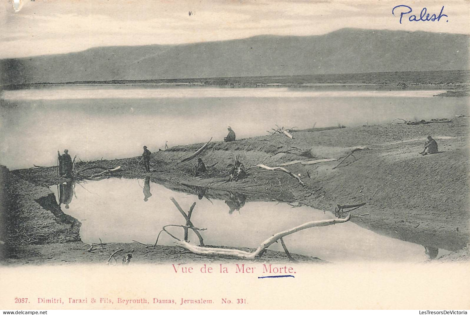 PALESTINE - Vue De La Mer Morte - Carte Postale Ancienne - Palestina