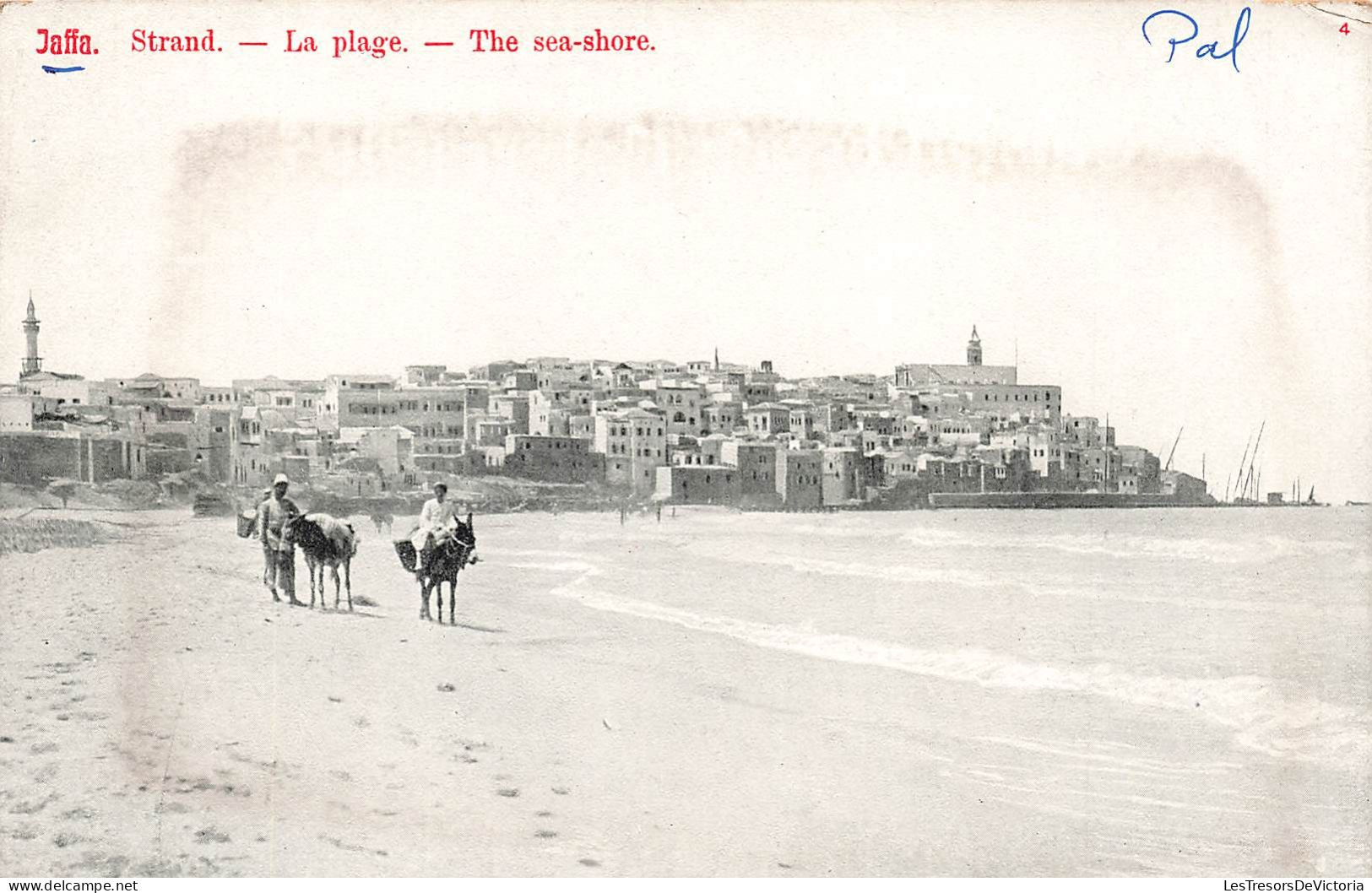 ISRAËL - Jaffa - La Plage - Carte Postale Ancienne - Israel