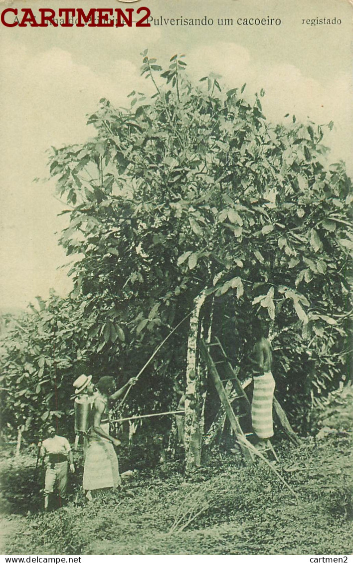 SAO TOME ILHA DO PRINCIPE PULVERISANDO UM CACOEIRO CACAO REGISTADO AFRICA PORTUGAL AFRIQUE - Sao Tome Et Principe