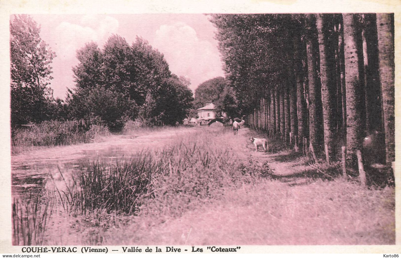 Couhé Vérac * Vallée De La Dive Et Les Coteaux - Couhe