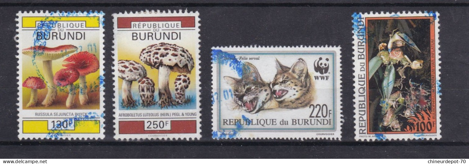 Burundi Champignon Wwf - Usati