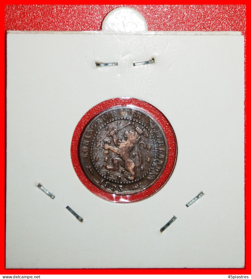 * 2 SOLD ~ RAMPANT LION (1877-1900): NETHERLANDS  1 CENT 1883! WILLIAM III (1849-1890) HOLDER· LOW START ·  NO RESERVE! - 1849-1890: Willem III.