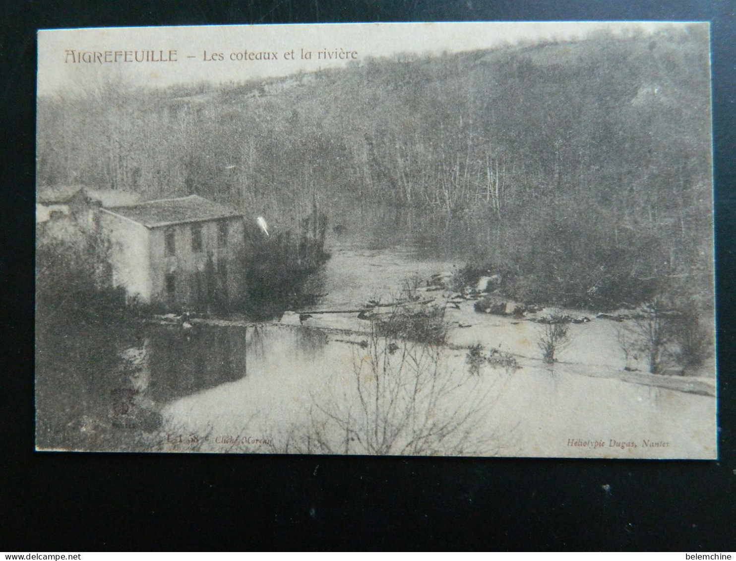 AIGREFEUILLE                   LES COTEAUX ET LA RIVIERE - Aigrefeuille-sur-Maine