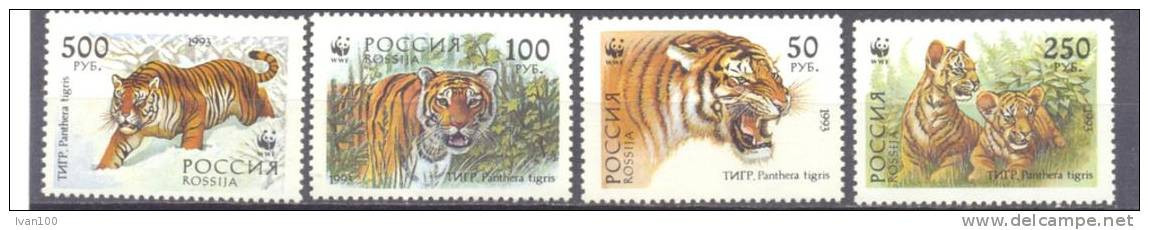 1993. Russia, WWF, Siberian Tiger, 4v Mint/** - Unused Stamps