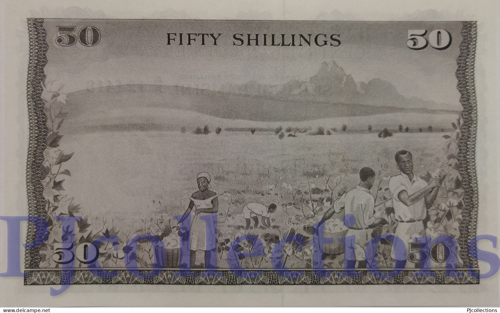 KENYA 50 SHILLINGS 1971 PICK 9b UNC - Kenya