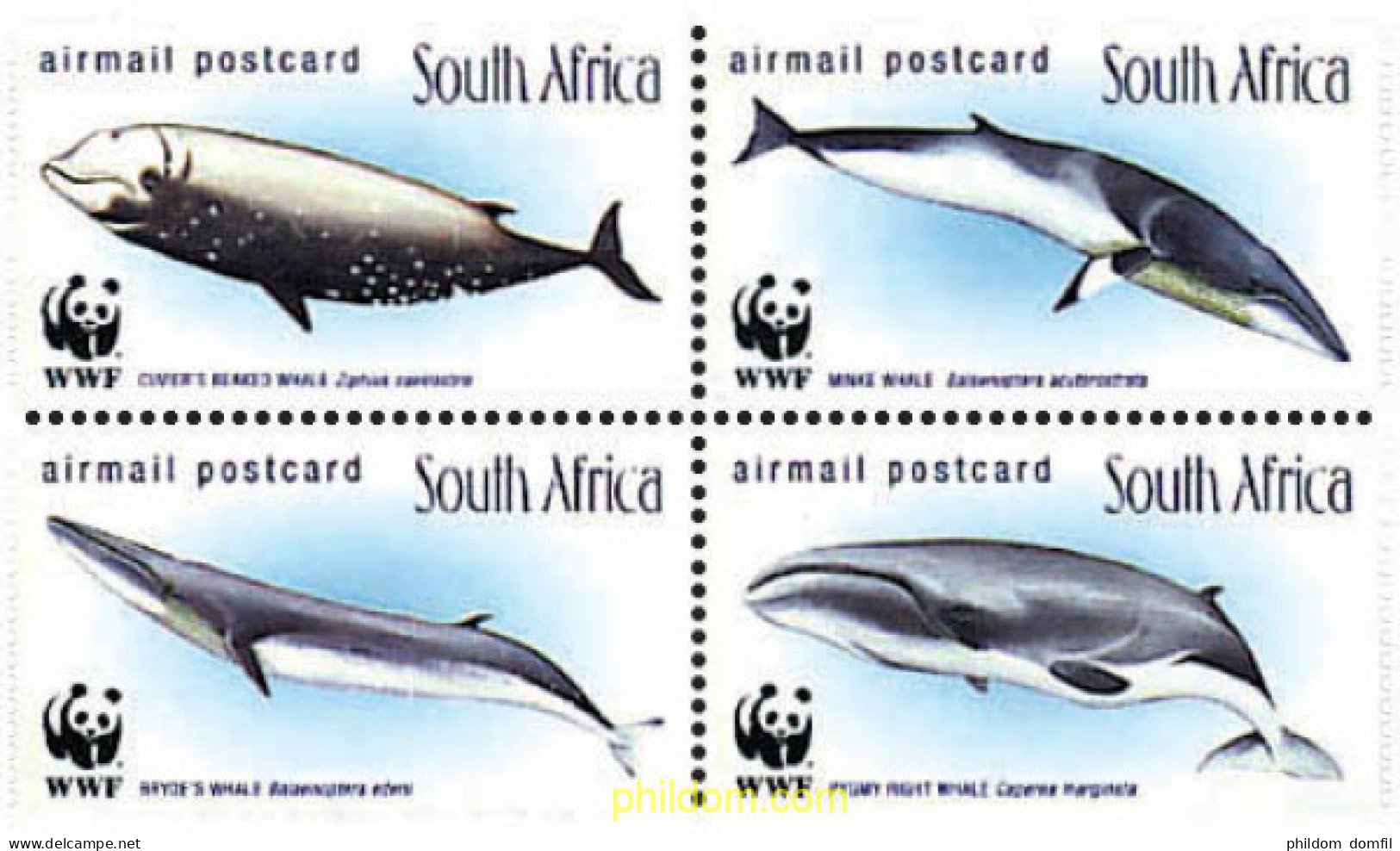 5268 MNH SUDAFRICA 1998 BALLENAS - Nuovi