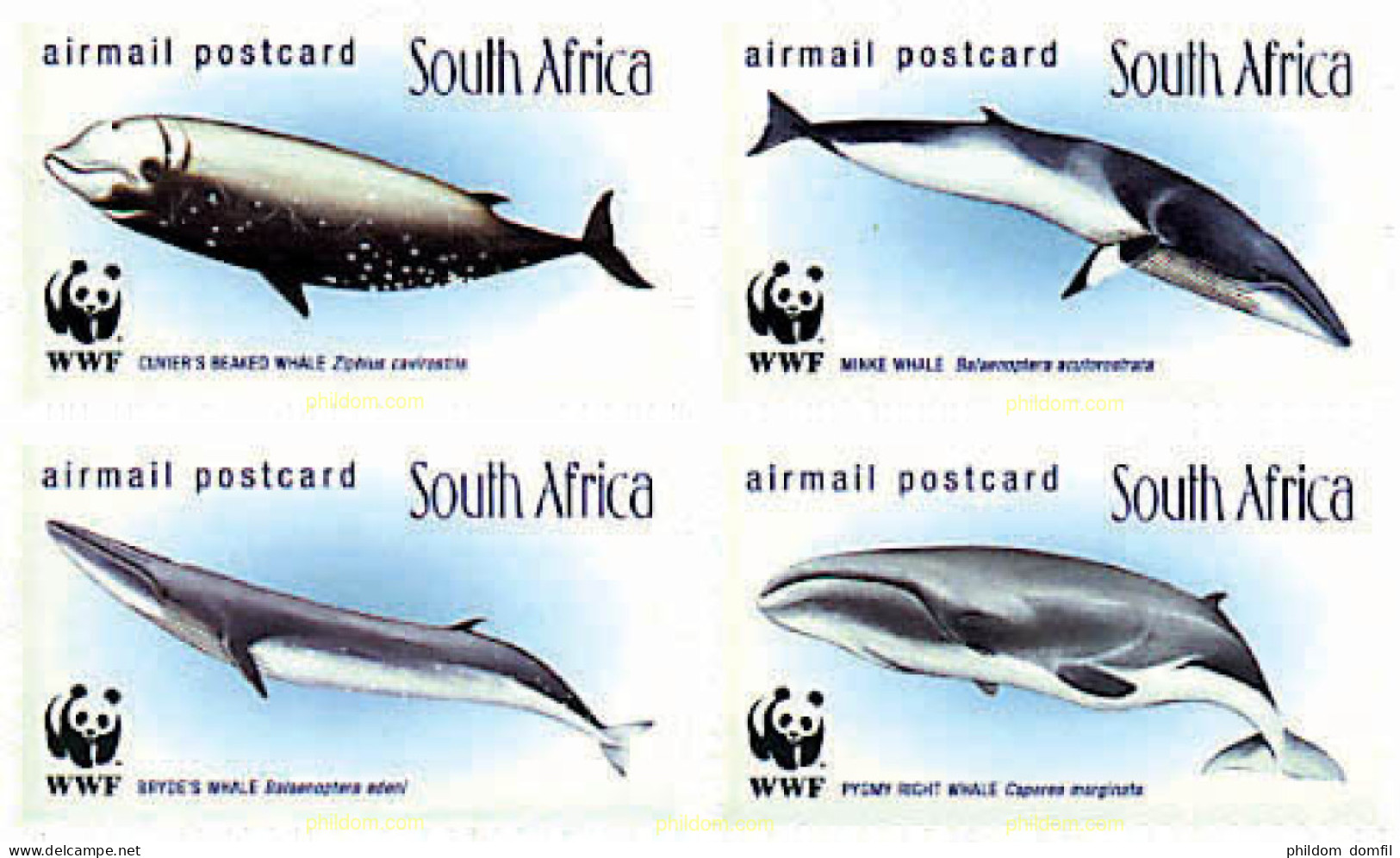 78735 MNH SUDAFRICA 1998 BALLENAS - Nuevos