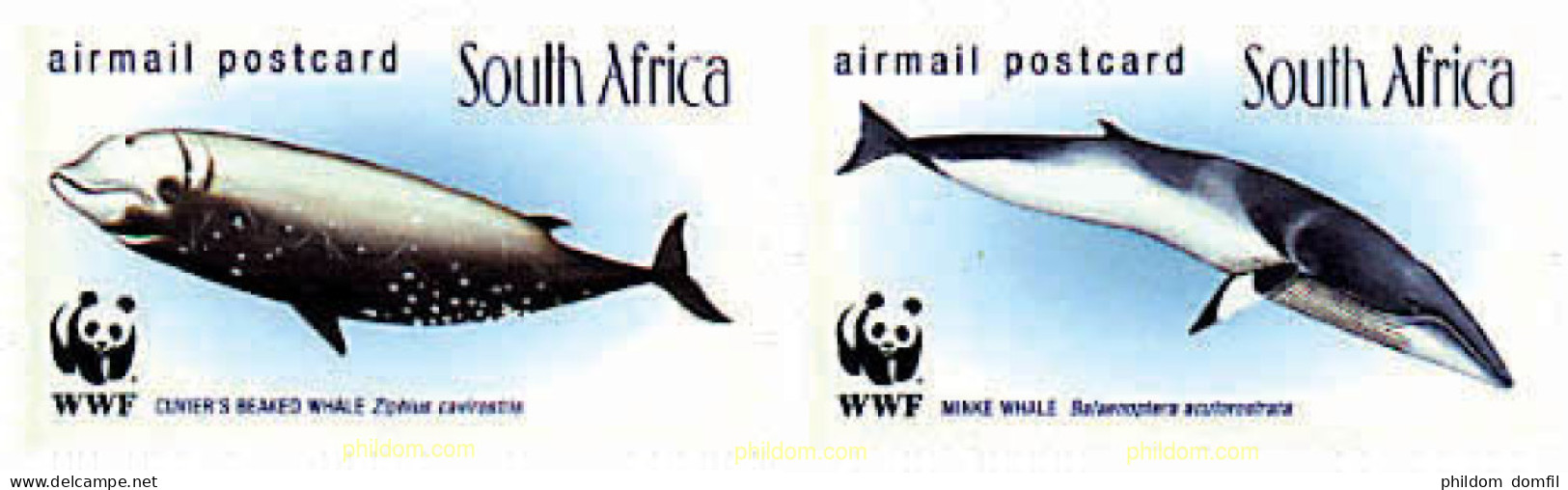 275229 MNH SUDAFRICA 1998 BALLENAS - Nuovi