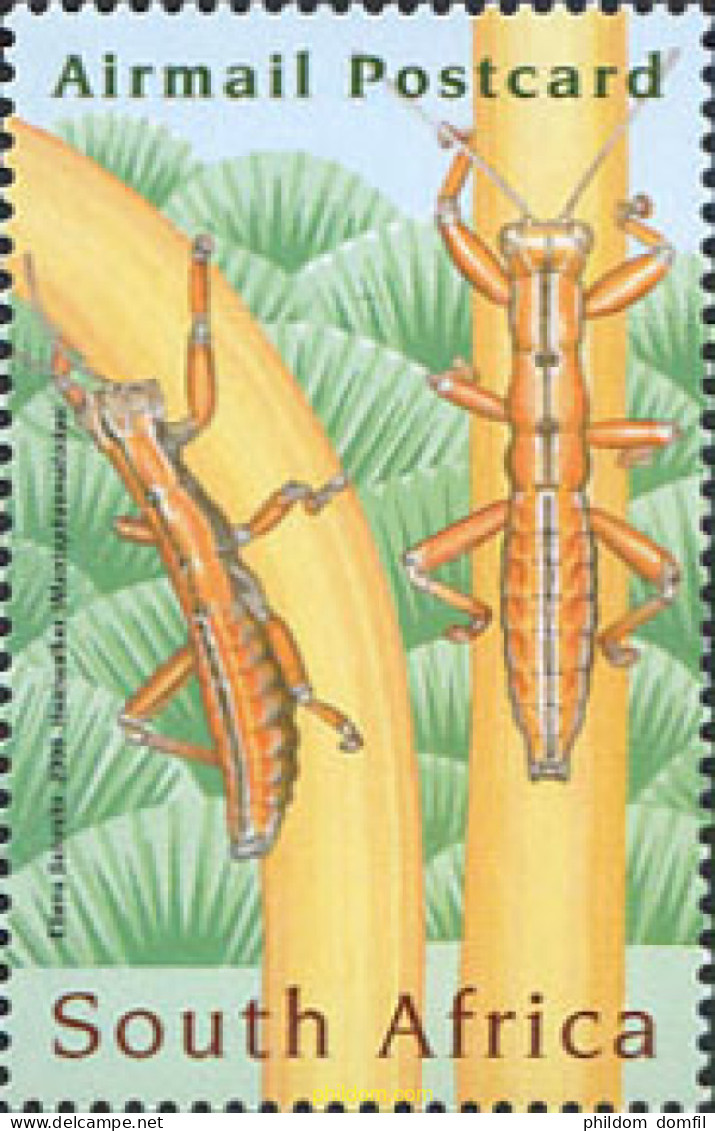 222879 MNH SUDAFRICA 2008 CONGRESO ENTOMOLOGICO ICE-2008 - Ongebruikt