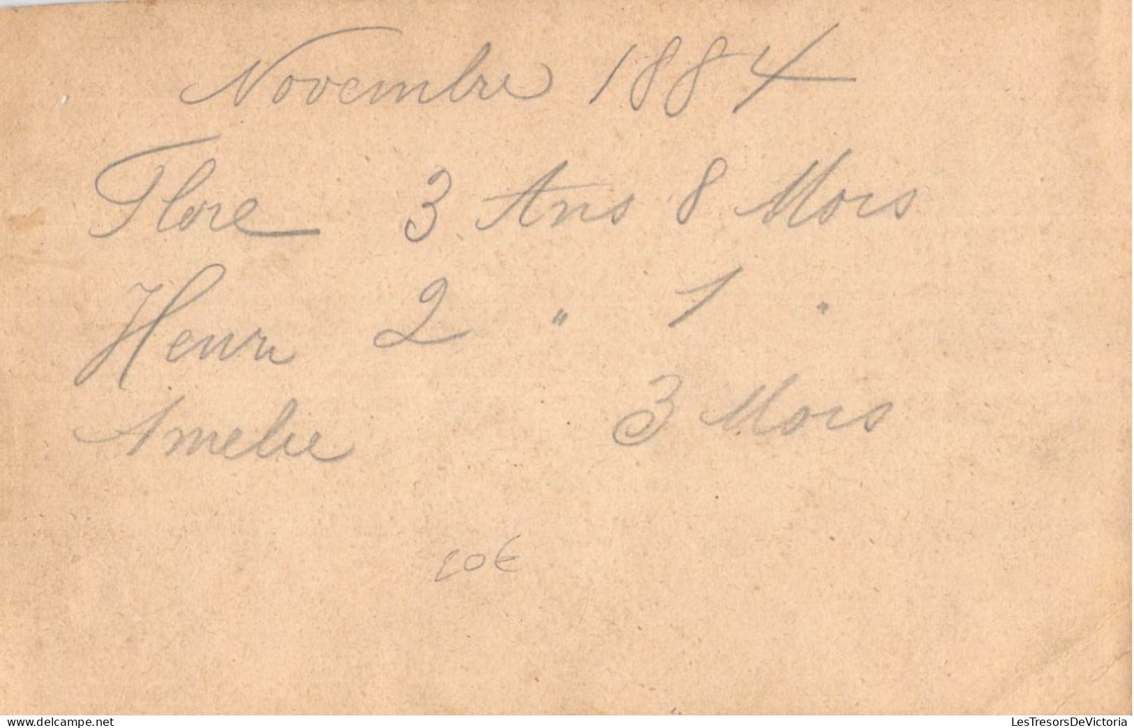 Photographie  - Flore - Henri - Amélie - Novembre 1884 - Dim:14/22 - Photo De Famille - Identified Persons