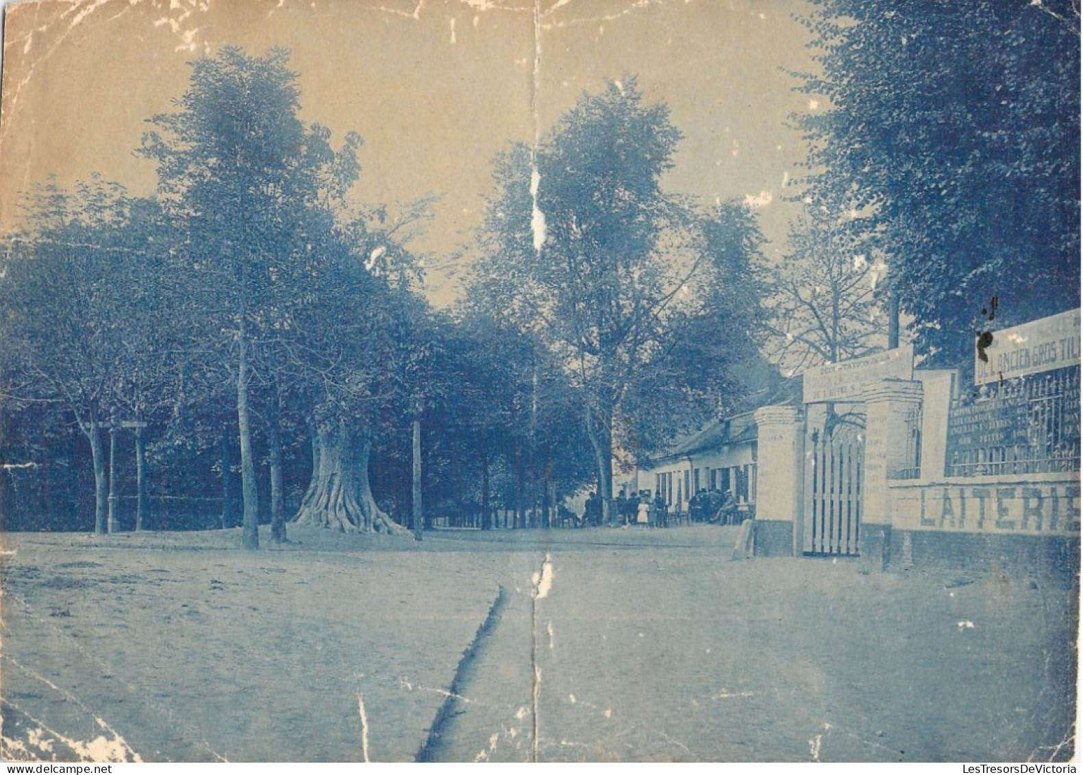 Photographie  - Les Bonnes Réunions Du Dimanche En 1890 - Laiterie Du Gros Tilleul Près De La Tour Japonaise - Old (before 1900)