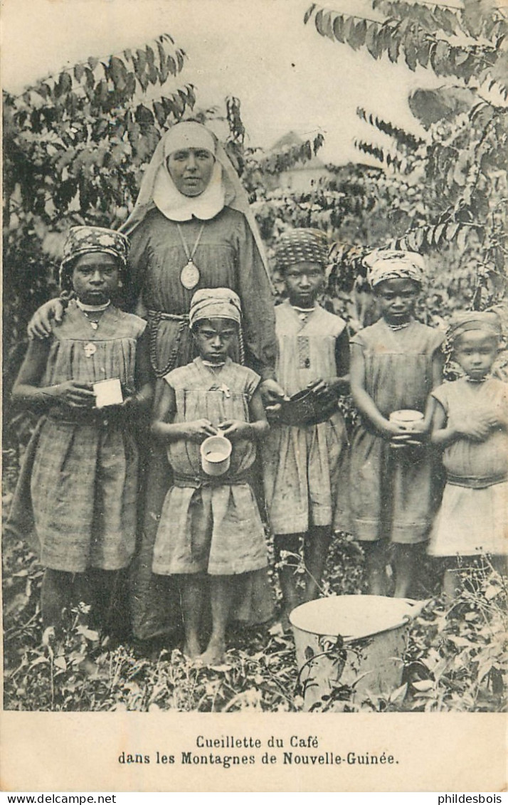 AFRIQUE  GUINEE  Cueillette Du Café Dans Les Montagnes De La Nouvelles Guinée - Guinée