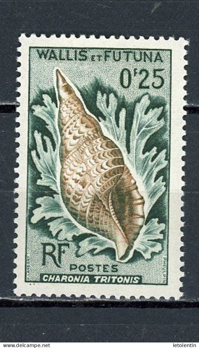 WALLIS & FUTUNA RF - COQUILLAGE - N°Yt 162** - Unused Stamps