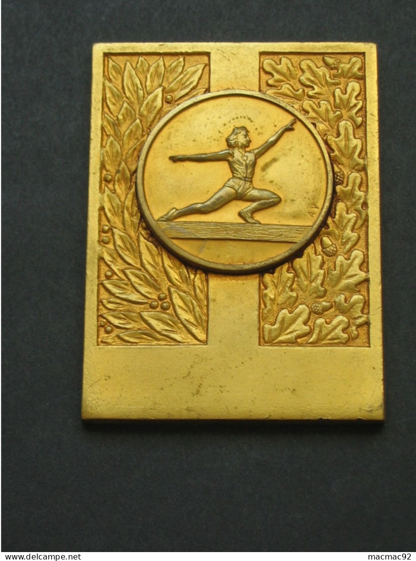 Médaille De Gymnastique - Poutre - F.F.C   Comité Ile De France  *** EN ACHAT IMMEDIAT *** - Gymnastique
