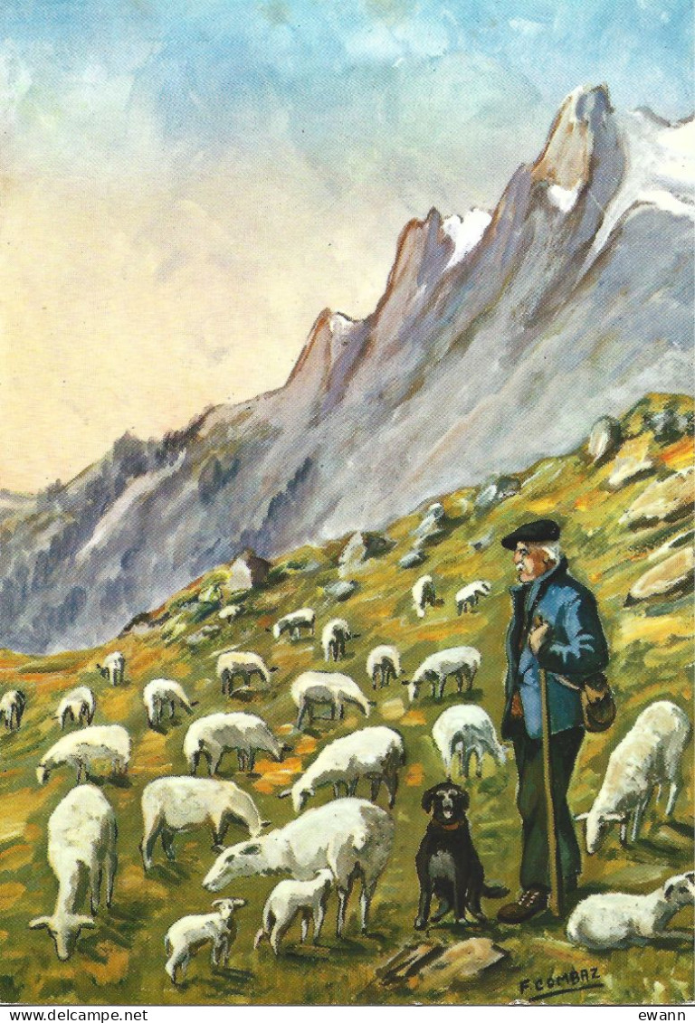 Carte Postale - Illustration - F.Combaz - Le Vieux Berger Et Ses Moutons - Combaz