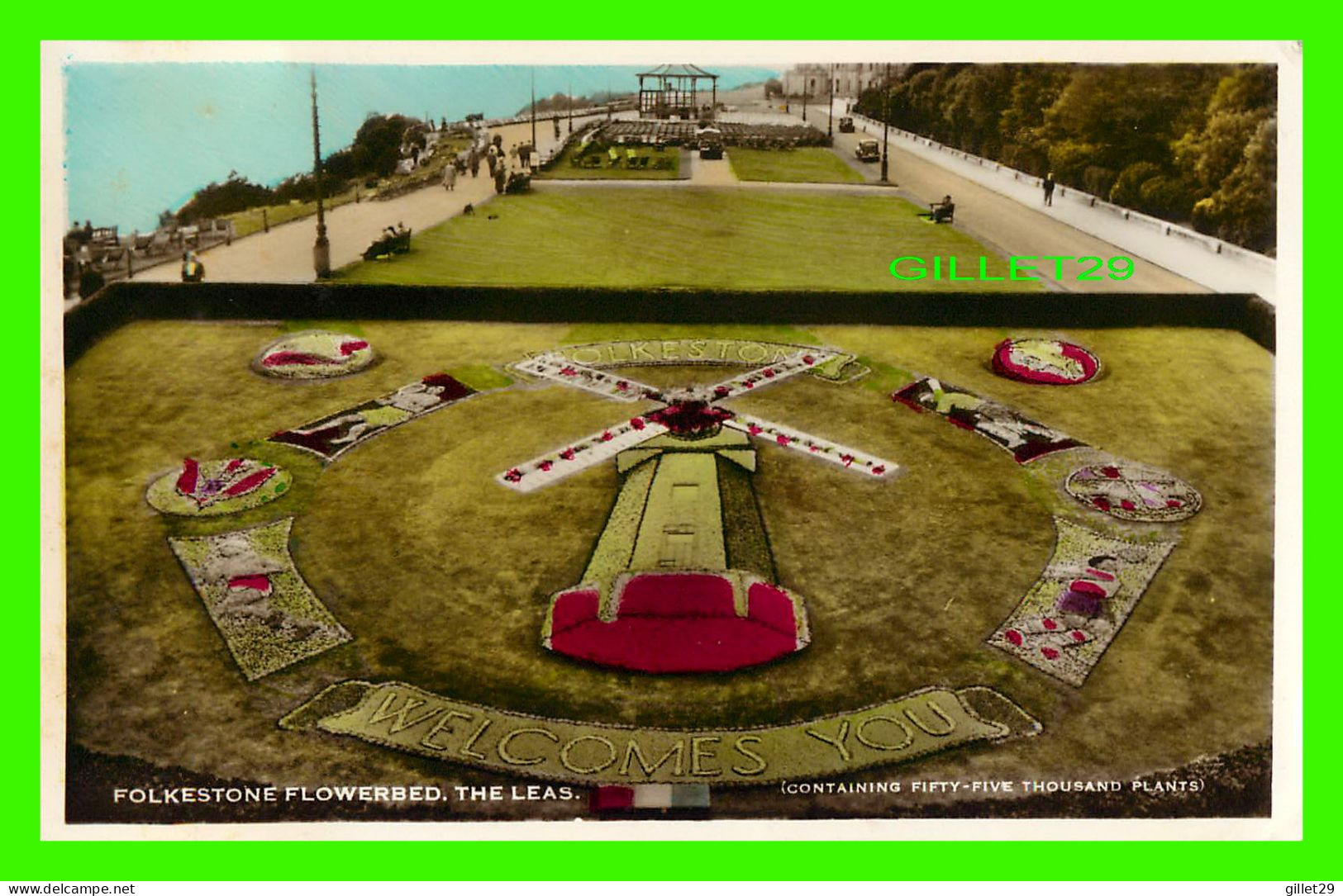 FOLKESTONE, KENT, UK - THE LEAS - CONTAINIG FIFTY-FIVE THOUSAND PLANTS  - REAL PHOTOGRAPH - WRITTEN - - Folkestone