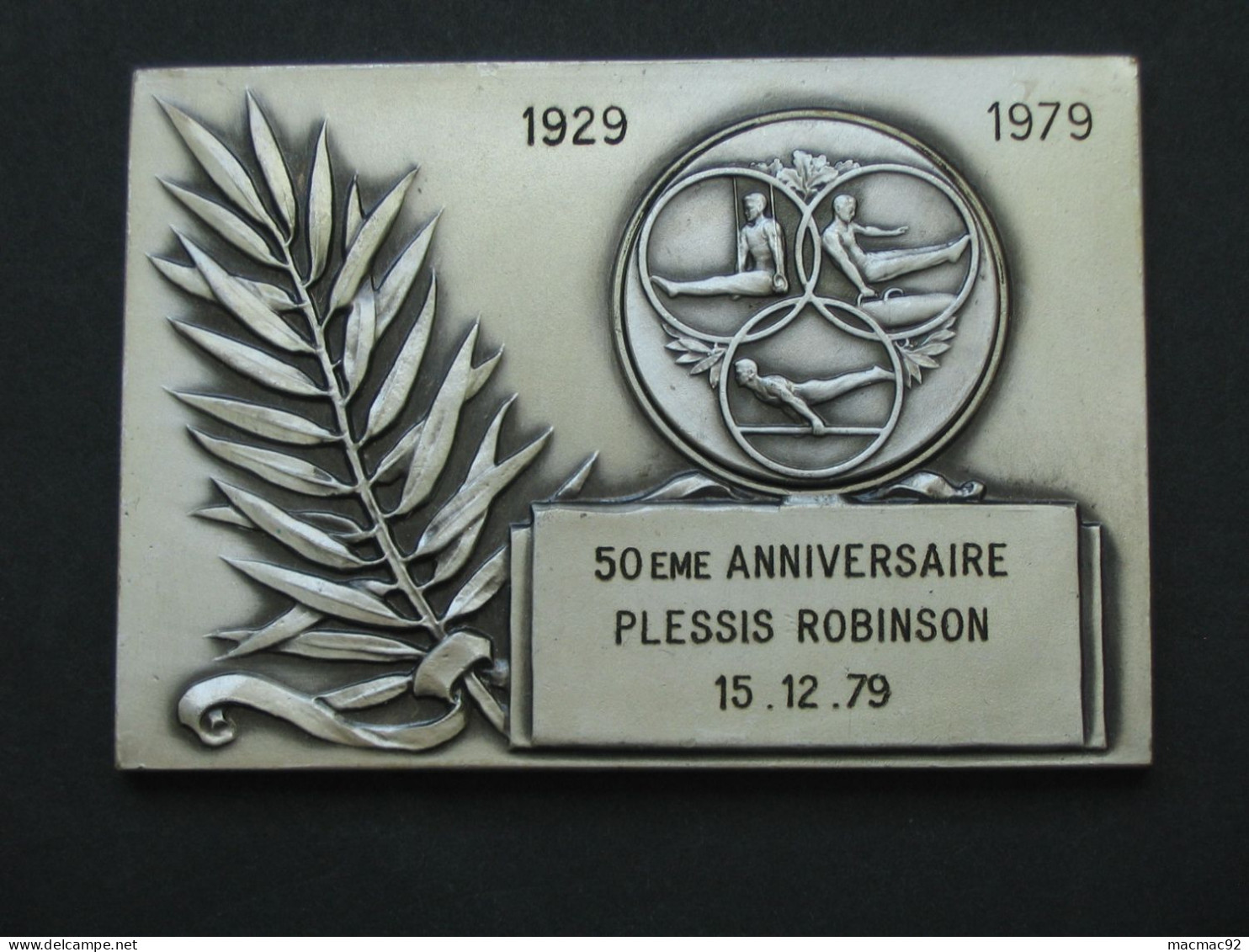 Médaille De Gymnastique - 50 Eme Anniversaire Plessis Robinson 15.12.79   *** EN ACHAT IMMEDIAT *** - Gymnastique