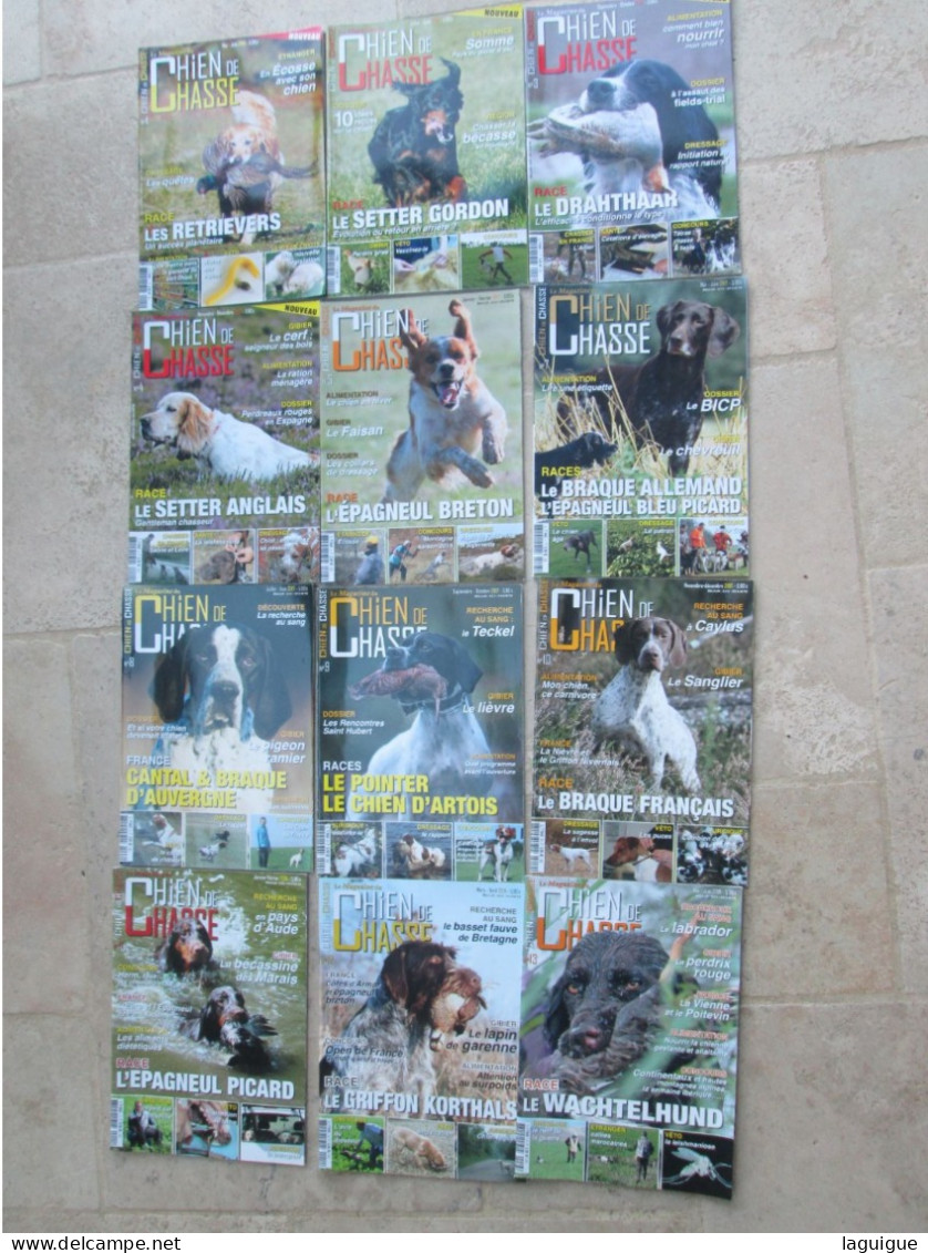 LOT DE 12 REVUES LE MAGAZINE DU CHIEN DE CHASSE 2016 A 2018 - Caza/Pezca