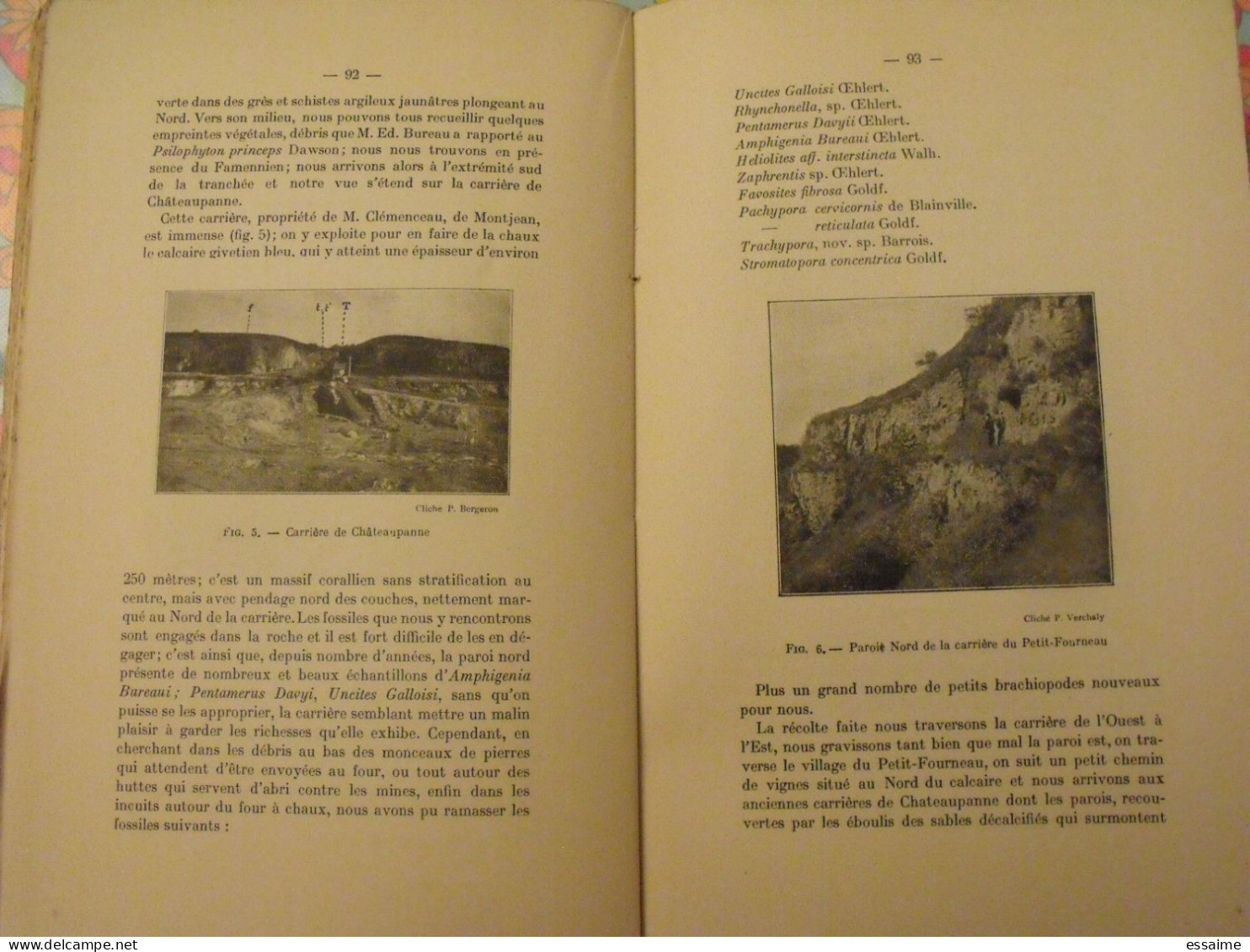 bulletin de la société d'études scientifiques d'Angers. 1911. Grassin.