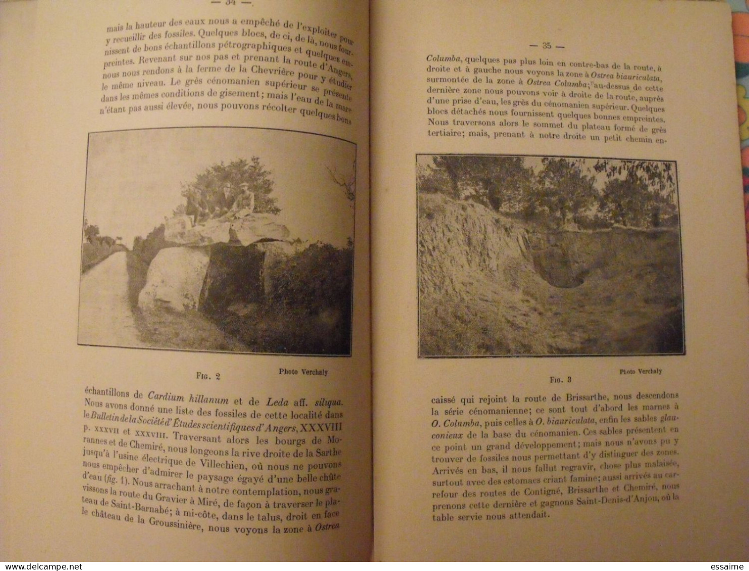 Bulletin De La Société D'études Scientifiques D'Angers. 1912-1913. Grassin. - Pays De Loire