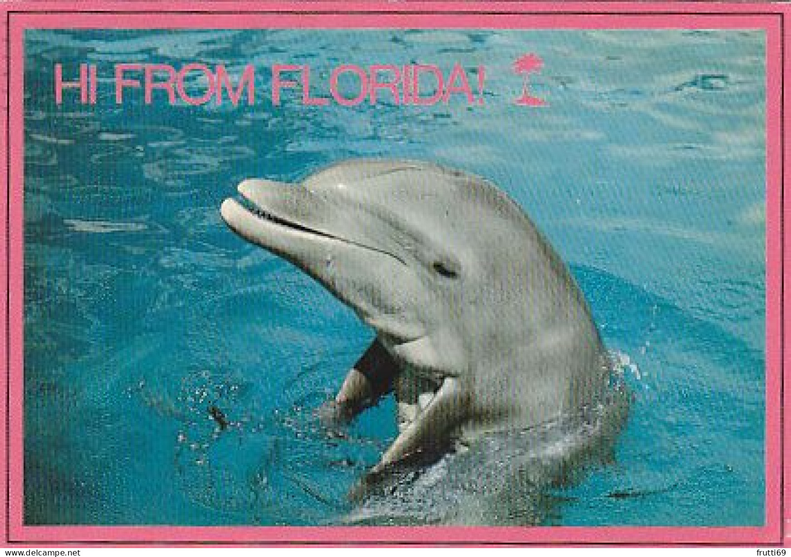 AK 188307 DOLPHIN / DELFIN - Florida - Dauphins