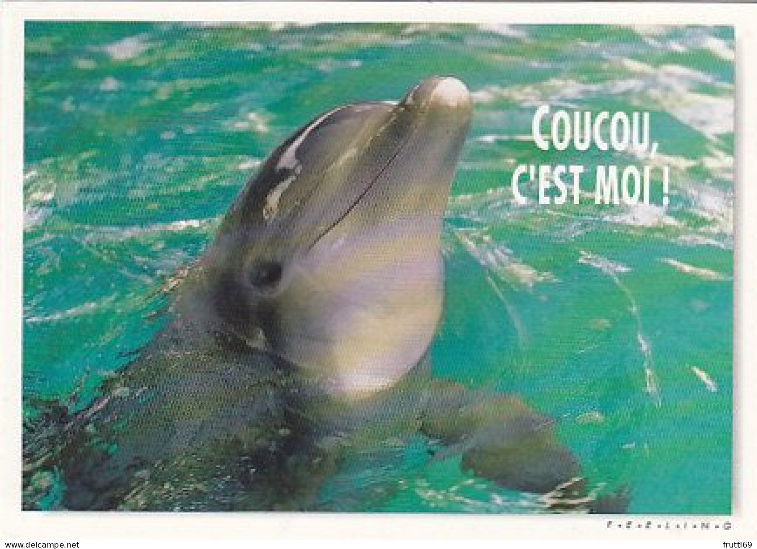 AK 188308 DOLPHIN / DELFIN - Delfines