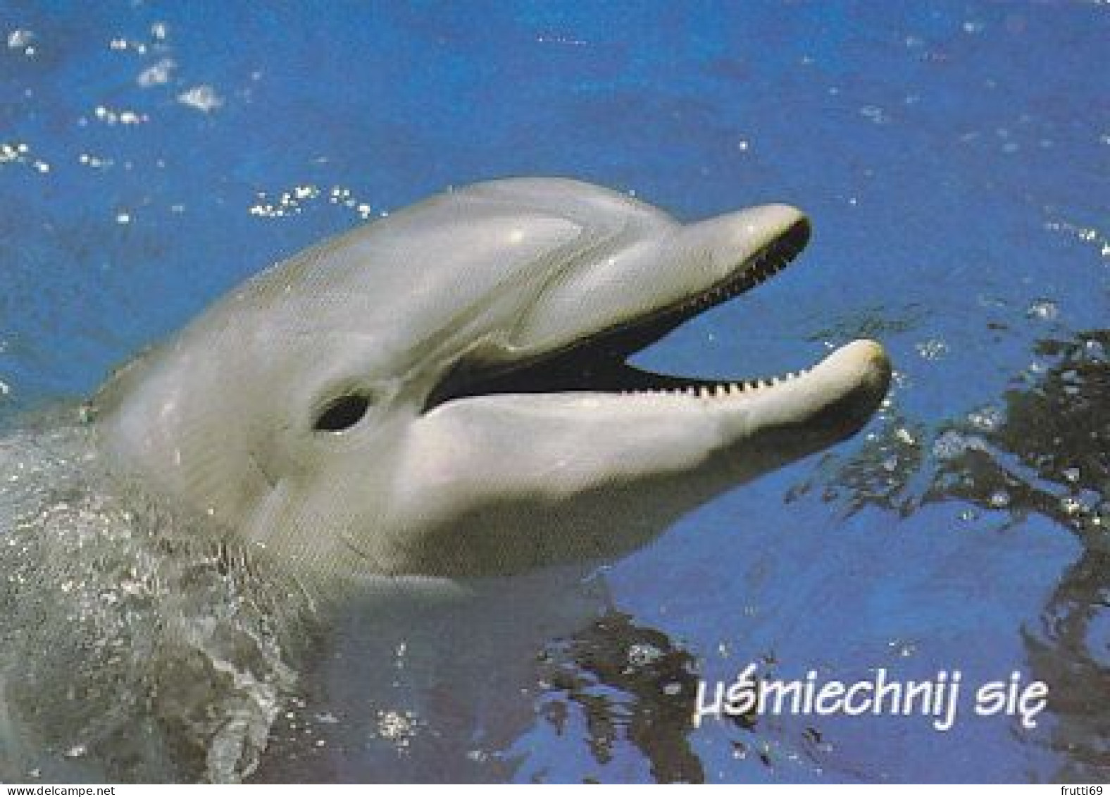 AK 188309 DOLPHIN / DELFIN - Delfines