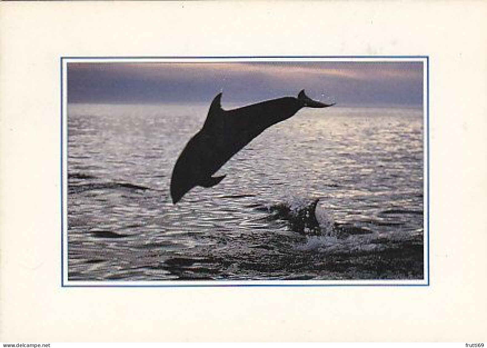 AK 188312 DOLPHIN / DELFIN - Dolphins