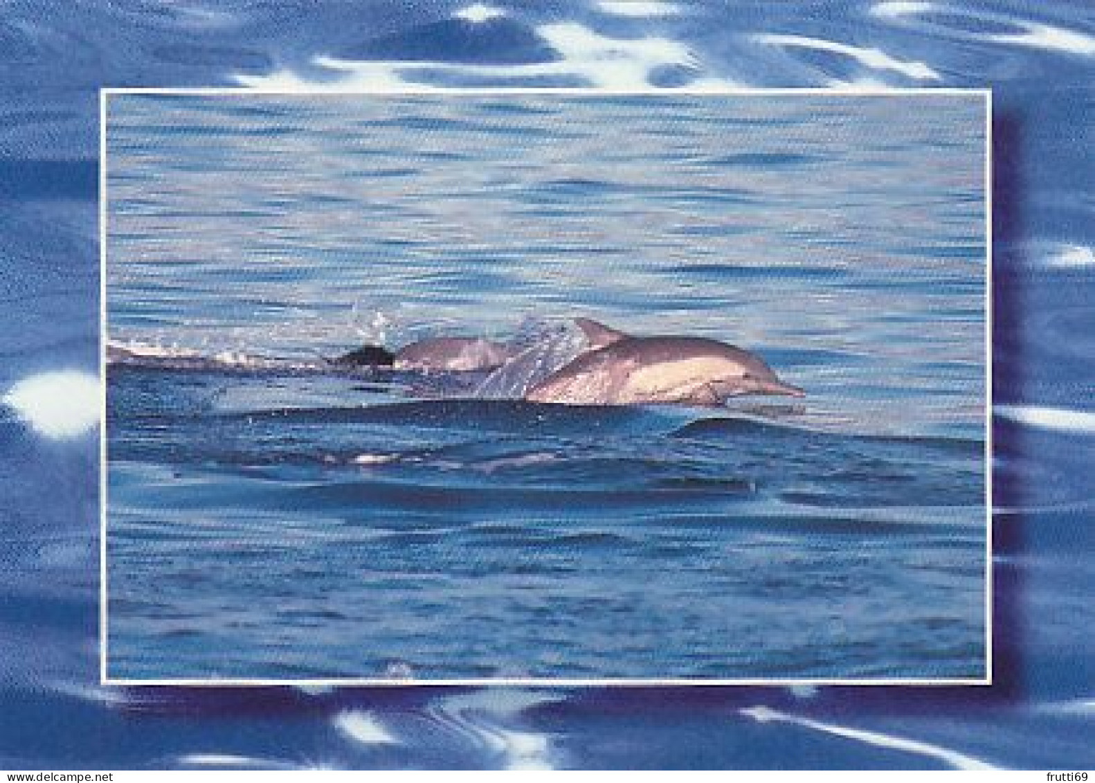 AK 188315 DOLPHIN / DELFIN - Delfines