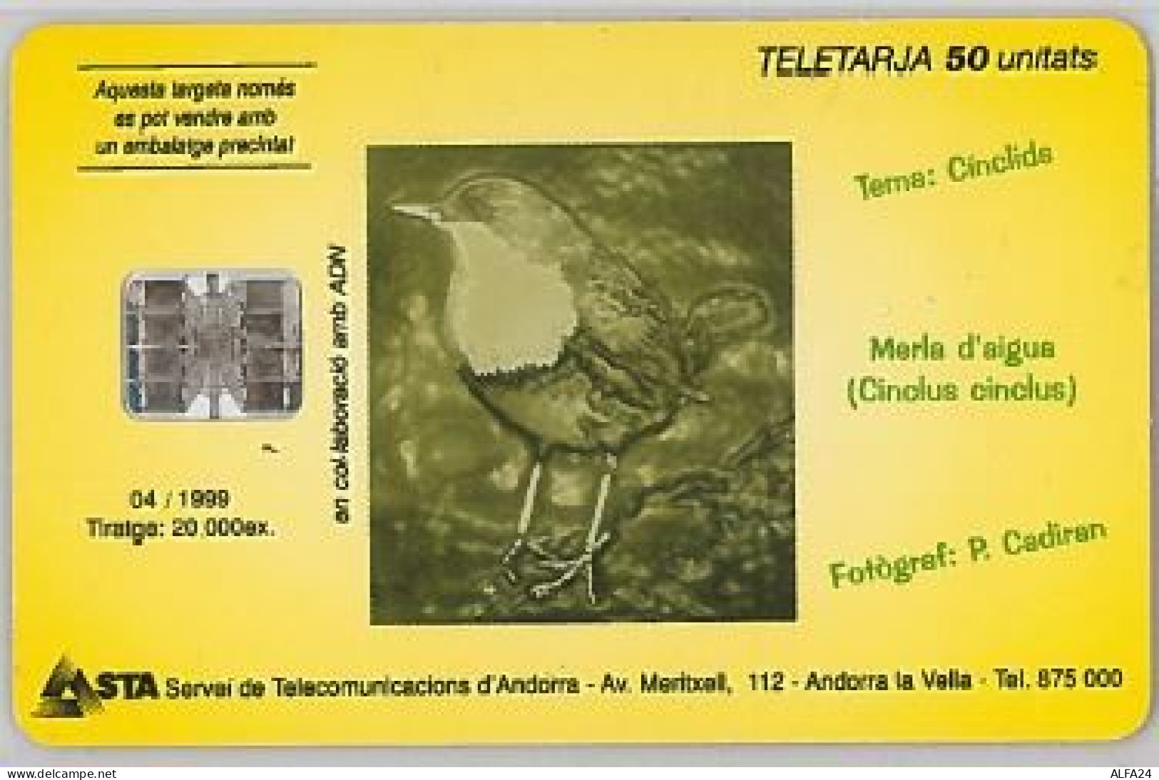 PHONE CARD-ANDORRA (E45.20.5 - Andorra