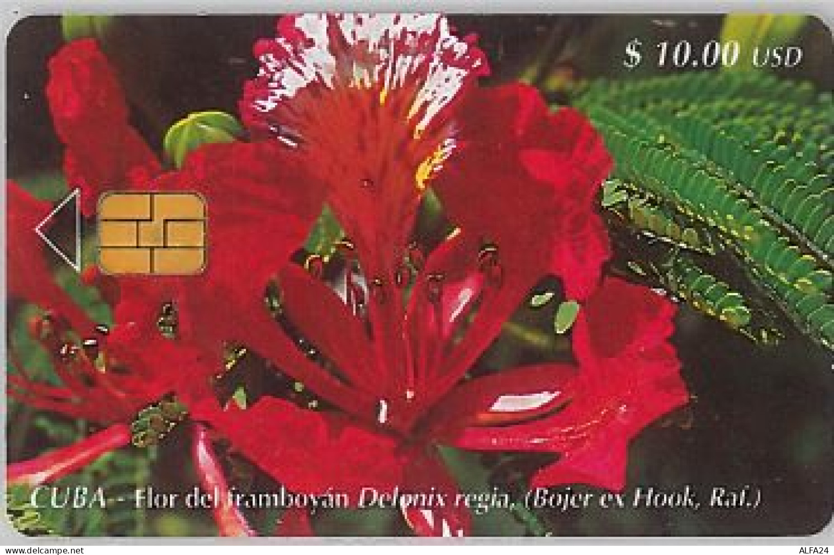 PHONE CARD-CUBA (E45.11.7 - Cuba