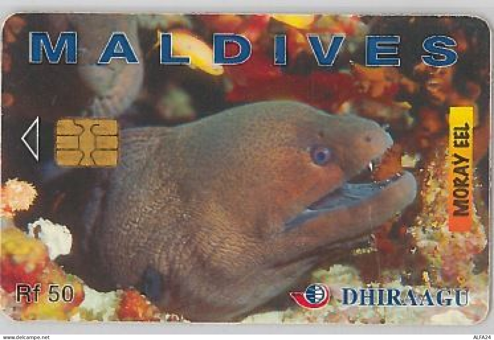 PHONE CARD - MALDIVE (E44.33.8 - Maldiven